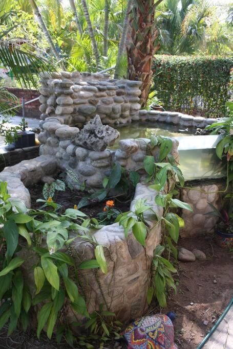 Lush Garden House Near Beaches With Private Pool. Puerto Escondido  Εξωτερικό φωτογραφία