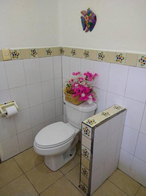 Lush Garden House Near Beaches With Private Pool. Puerto Escondido  Εξωτερικό φωτογραφία